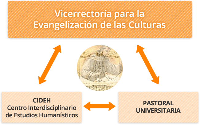 Estructura Vicerrectoría para la Evangelización de las Culturas